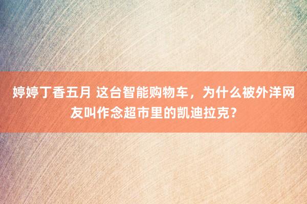 婷婷丁香五月 这台智能购物车，为什么被外洋网友叫作念超市里的凯迪拉克？