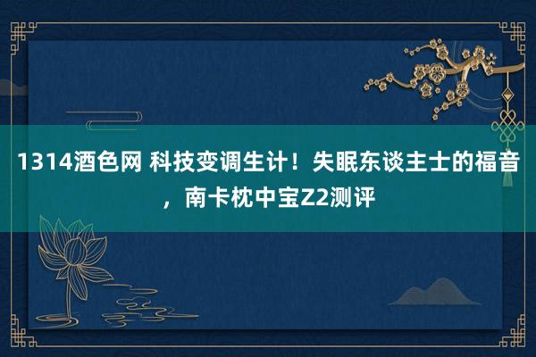 1314酒色网 科技变调生计！失眠东谈主士的福音，南卡枕中宝Z2测评