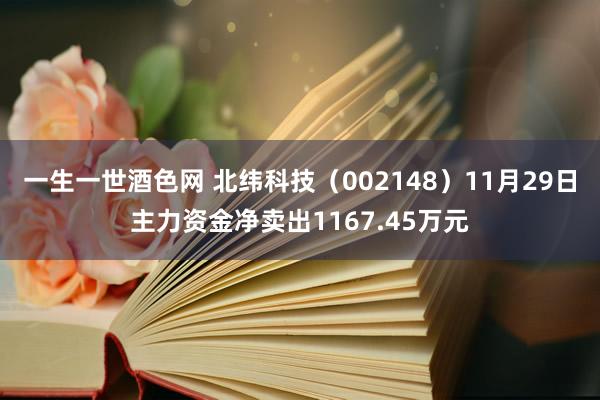 一生一世酒色网 北纬科技（002148）11月29日主力资金净卖出1167.45万元