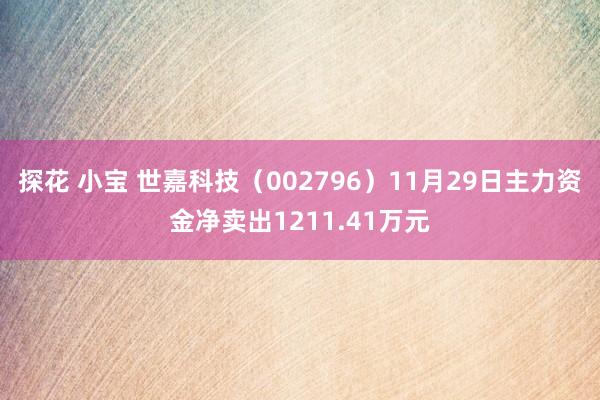 探花 小宝 世嘉科技（002796）11月29日主力资金净卖出1211.41万元