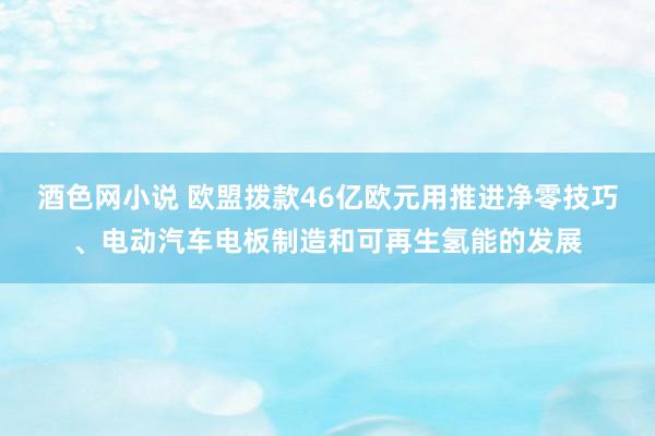 酒色网小说 欧盟拨款46亿欧元用推进净零技巧、电动汽车电板制造和可再生氢能的发展