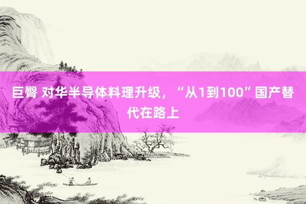 巨臀 对华半导体料理升级，“从1到100”国产替代在路上