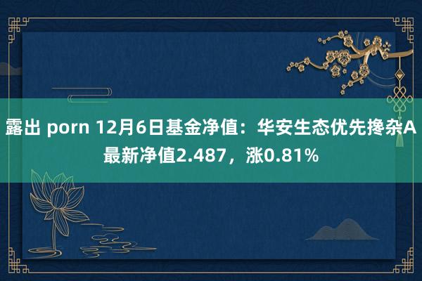 露出 porn 12月6日基金净值：华安生态优先搀杂A最新净值2.487，涨0.81%