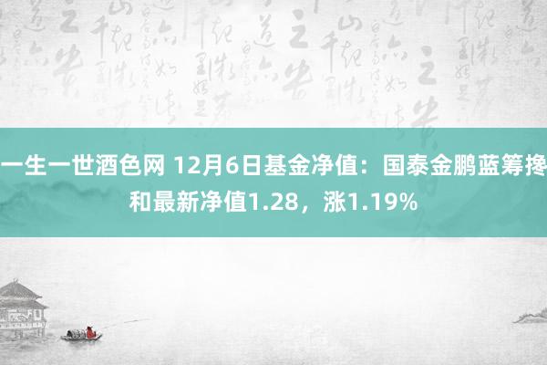 一生一世酒色网 12月6日基金净值：国泰金鹏蓝筹搀和最新净值1.28，涨1.19%