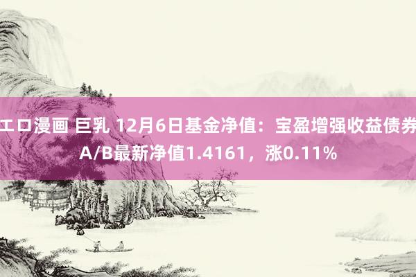 エロ漫画 巨乳 12月6日基金净值：宝盈增强收益债券A/B最新净值1.4161，涨0.11%