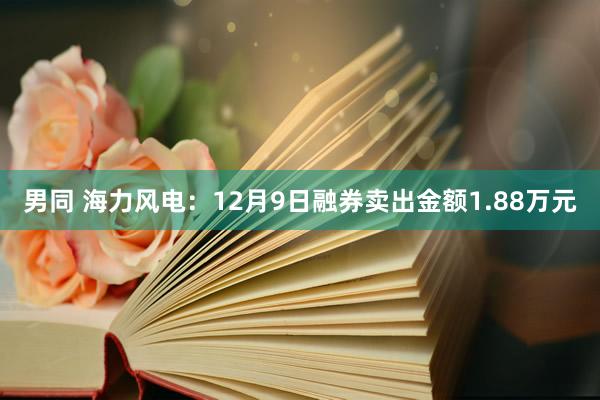 男同 海力风电：12月9日融券卖出金额1.88万元