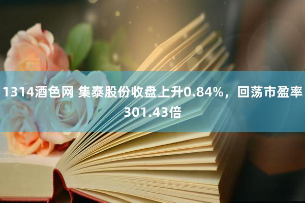 1314酒色网 集泰股份收盘上升0.84%，回荡市盈率301.43倍