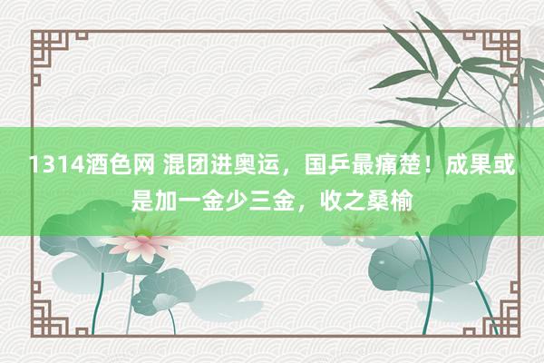 1314酒色网 混团进奥运，国乒最痛楚！成果或是加一金少三金，收之桑榆