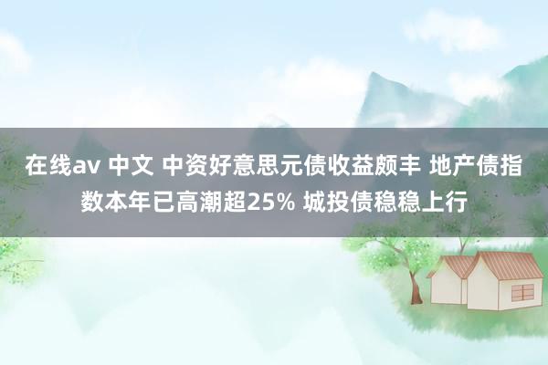 在线av 中文 中资好意思元债收益颇丰 地产债指数本年已高潮超25% 城投债稳稳上行