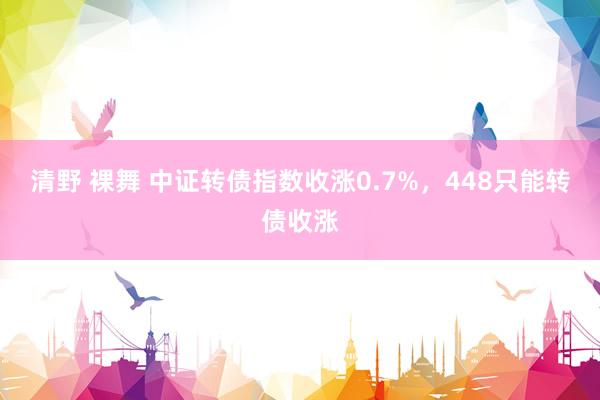 清野 裸舞 中证转债指数收涨0.7%，448只能转债收涨