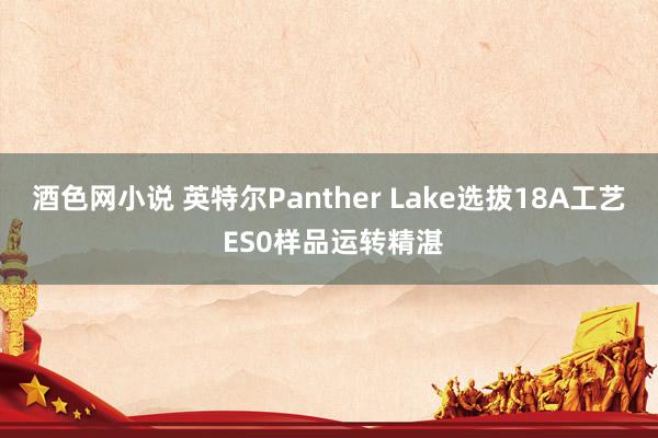 酒色网小说 英特尔Panther Lake选拔18A工艺 ES0样品运转精湛