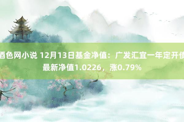 酒色网小说 12月13日基金净值：广发汇宜一年定开债最新净值1.0226，涨0.79%