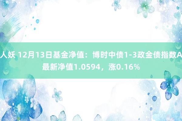 人妖 12月13日基金净值：博时中债1-3政金债指数A最新净值1.0594，涨0.16%