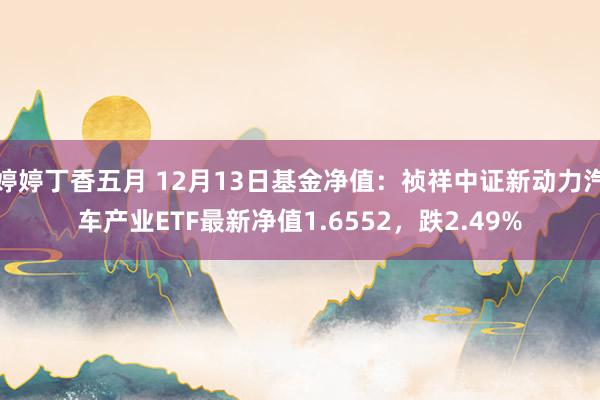 婷婷丁香五月 12月13日基金净值：祯祥中证新动力汽车产业ETF最新净值1.6552，跌2.49%