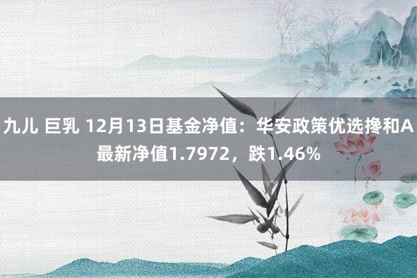 九儿 巨乳 12月13日基金净值：华安政策优选搀和A最新净值1.7972，跌1.46%