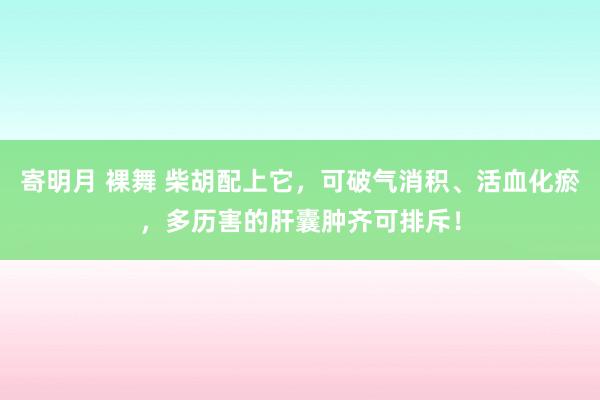 寄明月 裸舞 柴胡配上它，可破气消积、活血化瘀，多历害的肝囊肿齐可排斥！