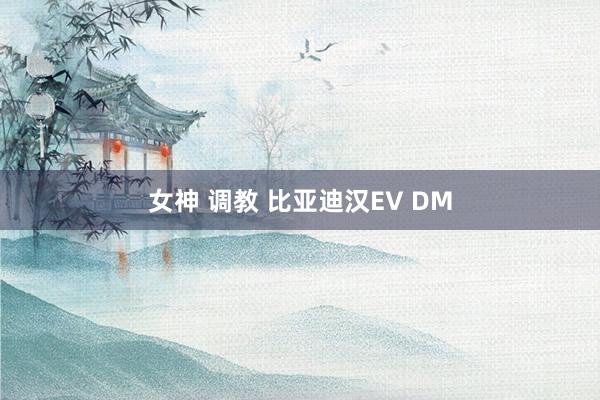 女神 调教 比亚迪汉EV DM