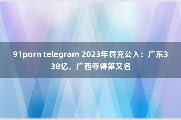 91porn telegram 2023年罚充公入：广东338亿，广西夺得第又名