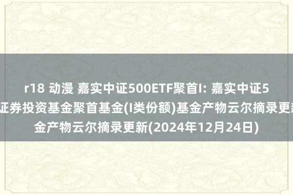 r18 动漫 嘉实中证500ETF聚首I: 嘉实中证500交游型绽开式指数证券投资基金聚首基金(I类份额)基金产物云尔摘录更新(2024年12月24日)