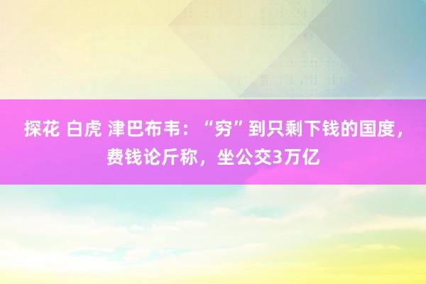 探花 白虎 津巴布韦：“穷”到只剩下钱的国度，费钱论斤称，坐公交3万亿