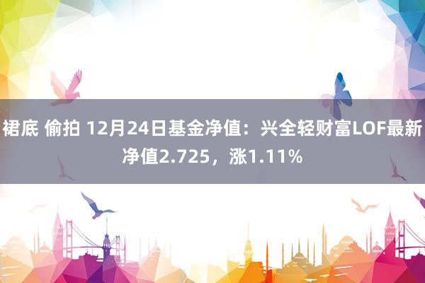 裙底 偷拍 12月24日基金净值：兴全轻财富LOF最新净值2.725，涨1.11%