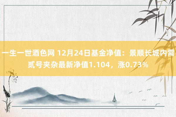 一生一世酒色网 12月24日基金净值：景顺长城内需贰号夹杂最新净值1.104，涨0.73%