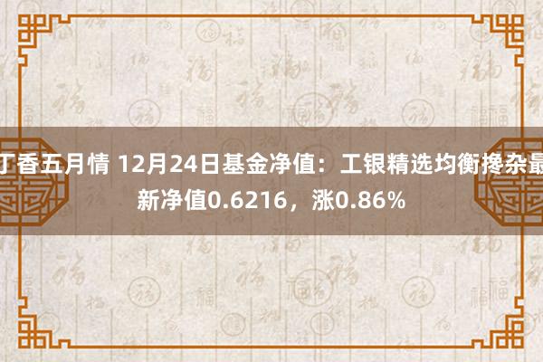 丁香五月情 12月24日基金净值：工银精选均衡搀杂最新净值0.6216，涨0.86%