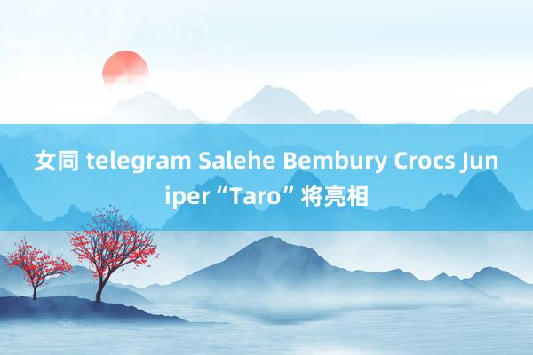 女同 telegram Salehe Bembury Crocs Juniper“Taro”将亮相