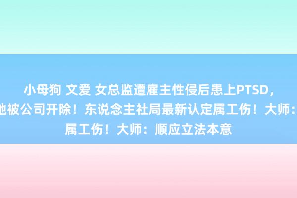 小母狗 文爱 女总监遭雇主性侵后患上PTSD，雇主被判刑，她被公司开除！东说念主社局最新认定属工伤！大师：顺应立法本意