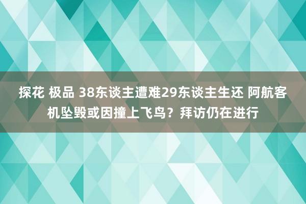 探花 极品 38东谈主遭难29东谈主生还 阿航客机坠毁或因撞上飞鸟？拜访仍在进行