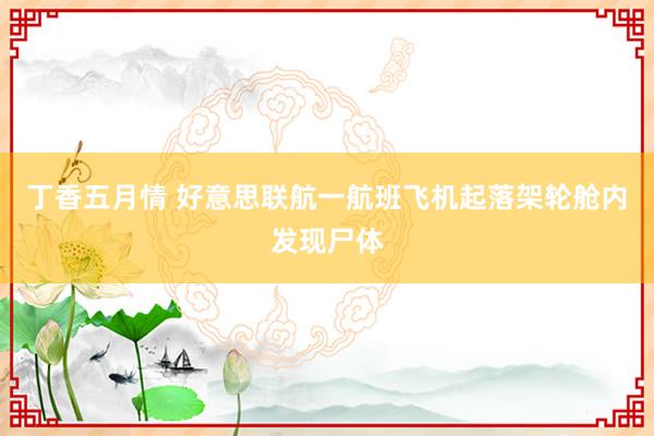 丁香五月情 好意思联航一航班飞机起落架轮舱内发现尸体