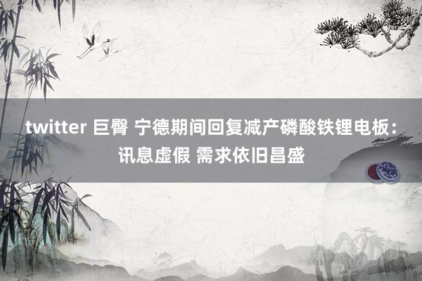 twitter 巨臀 宁德期间回复减产磷酸铁锂电板：讯息虚假 需求依旧昌盛