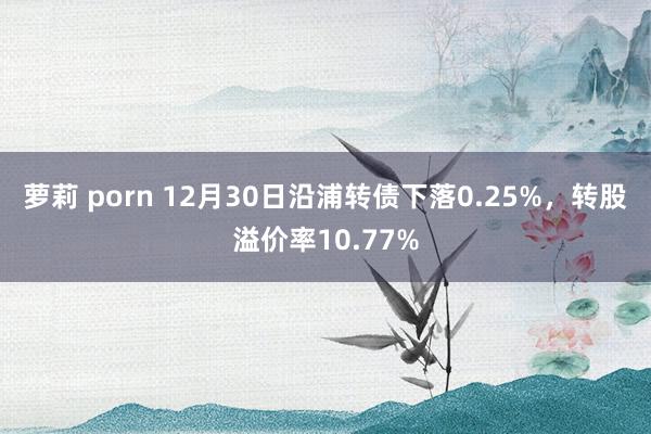 萝莉 porn 12月30日沿浦转债下落0.25%，转股溢价率10.77%