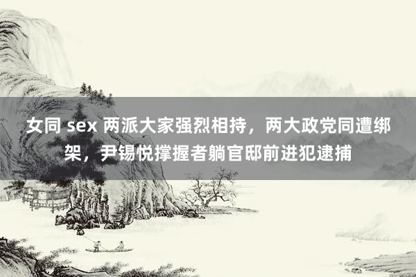 女同 sex 两派大家强烈相持，两大政党同遭绑架，尹锡悦撑握者躺官邸前进犯逮捕