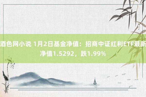 酒色网小说 1月2日基金净值：招商中证红利ETF最新净值1.5292，跌1.99%