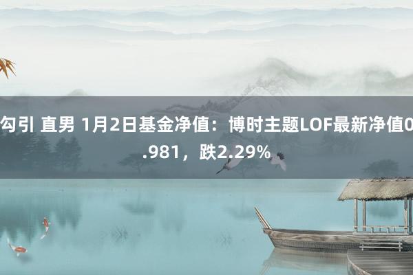 勾引 直男 1月2日基金净值：博时主题LOF最新净值0.981，跌2.29%