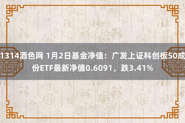 1314酒色网 1月2日基金净值：广发上证科创板50成份ETF最新净值0.6091，跌3.41%