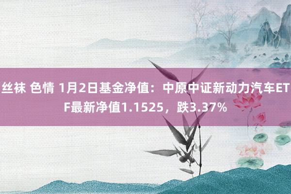 丝袜 色情 1月2日基金净值：中原中证新动力汽车ETF最新净值1.1525，跌3.37%