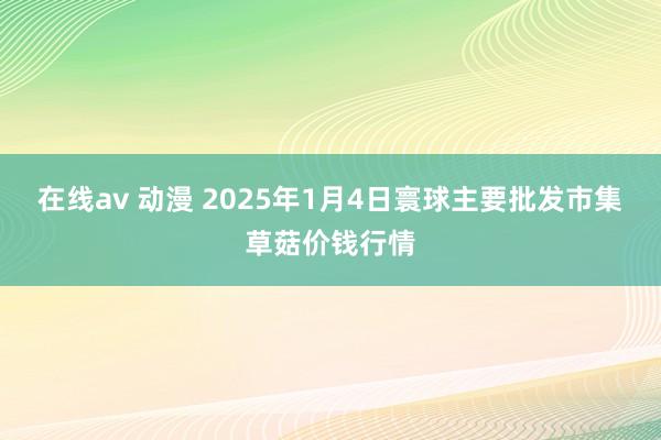 在线av 动漫 2025年1月4日寰球主要批发市集草菇价钱行情