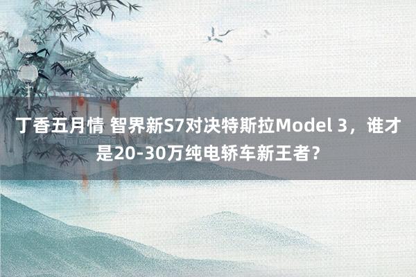 丁香五月情 智界新S7对决特斯拉Model 3，谁才是20-30万纯电轿车新王者？