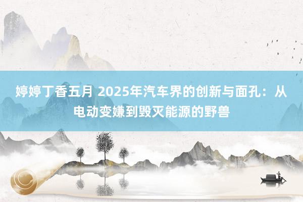 婷婷丁香五月 2025年汽车界的创新与面孔：从电动变嫌到毁灭能源的野兽