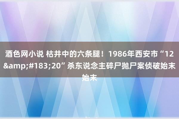 酒色网小说 枯井中的六条腿！1986年西安市“12&#183;20”杀东说念主碎尸抛尸案侦破始末