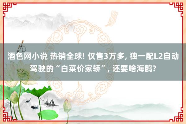 酒色网小说 热销全球! 仅售3万多, 独一配L2自动驾驶的“白菜价家轿”, 还要啥海鸥?