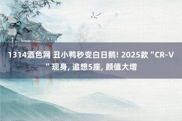 1314酒色网 丑小鸭秒变白日鹅! 2025款“CR-V”现身, 追想5座, 颜值大增