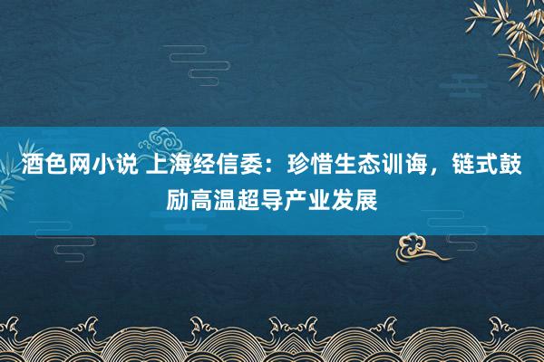 酒色网小说 上海经信委：珍惜生态训诲，链式鼓励高温超导产业发展