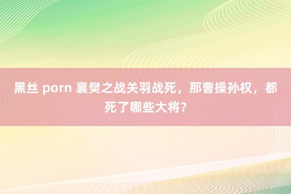 黑丝 porn 襄樊之战关羽战死，那曹操孙权，都死了哪些大将？