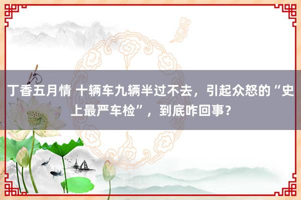 丁香五月情 十辆车九辆半过不去，引起众怒的“史上最严车检”，到底咋回事？