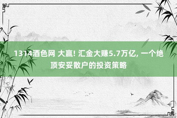 1314酒色网 大赢! 汇金大赚5.7万亿, 一个绝顶安妥散户的投资策略