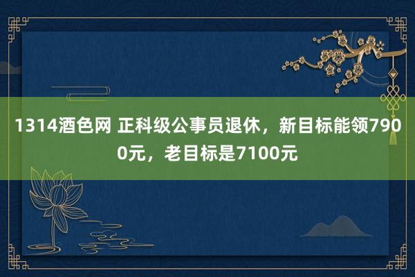 1314酒色网 正科级公事员退休，新目标能领7900元，老目标是7100元