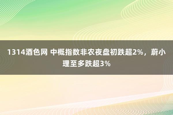 1314酒色网 中概指数非农夜盘初跌超2%，蔚小理至多跌超3%